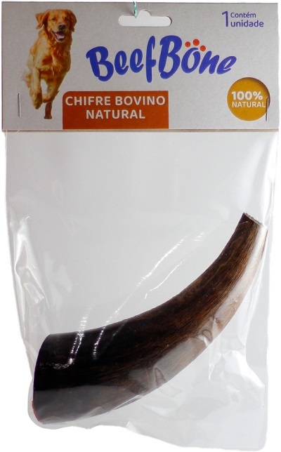 chifre bovino